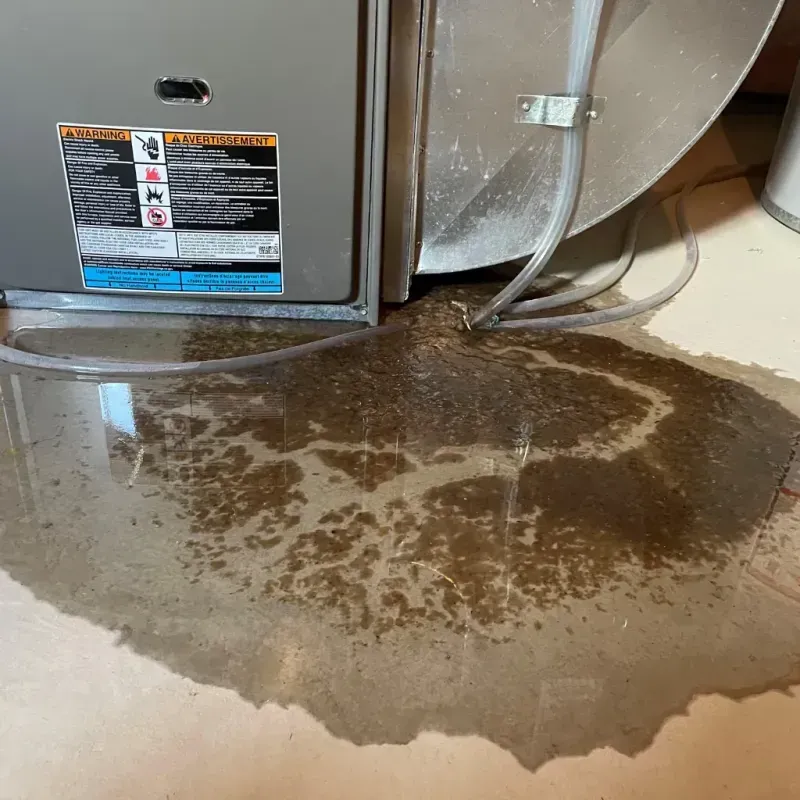 Appliance Leak Cleanup in Nahunta, GA